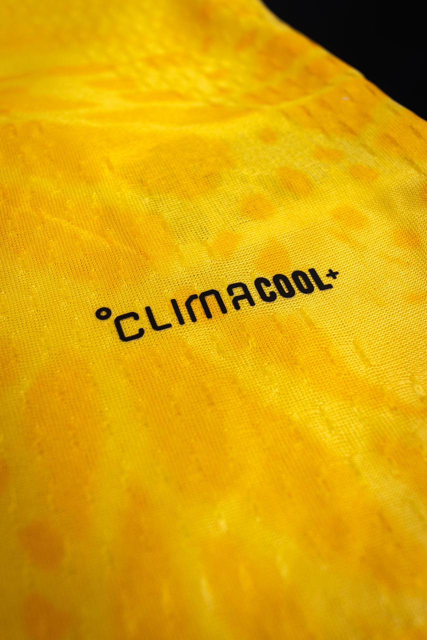 Camiseta Selección Colombia Tipo Jugador