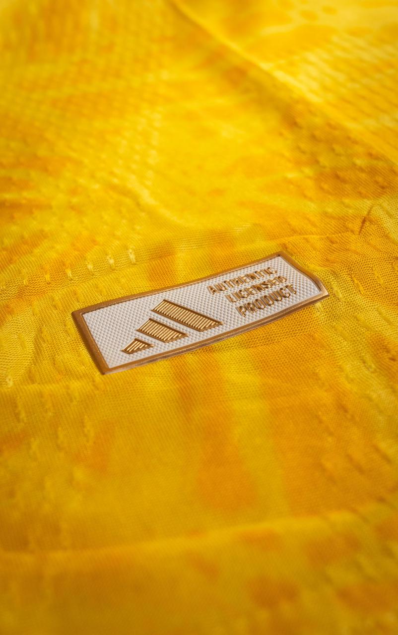 Camiseta Selección Colombia Tipo Jugador